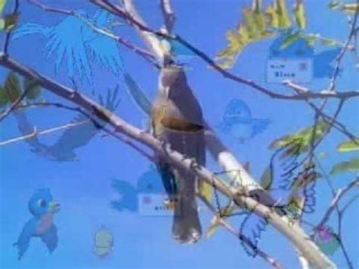 123 like a bird i sing lyrics