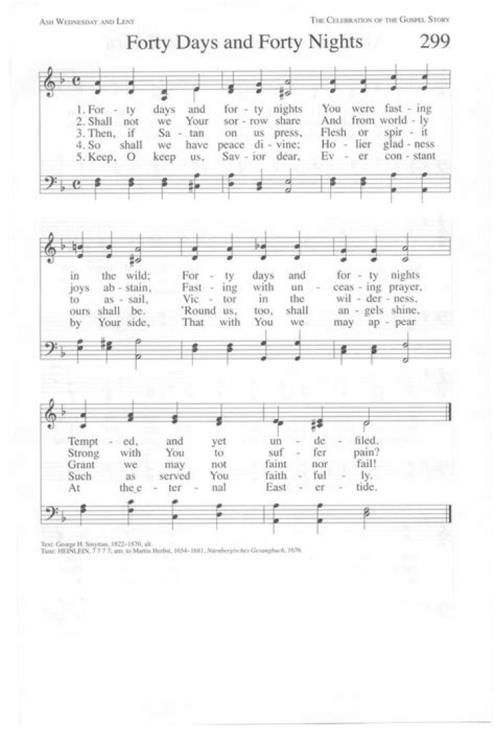 40 days and 40 nights lyrics