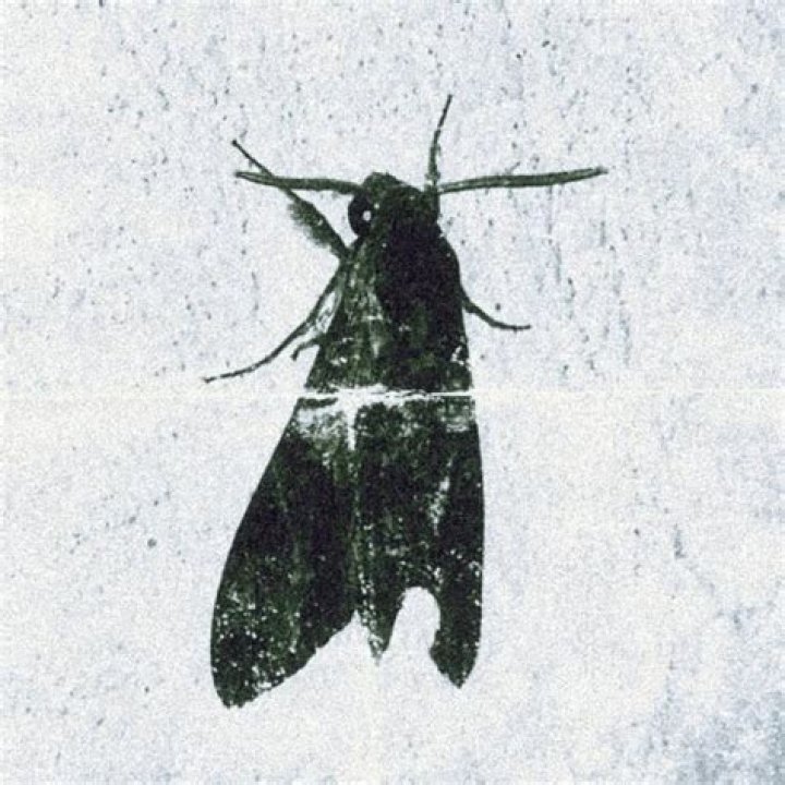 A walk down memory lane lyrics