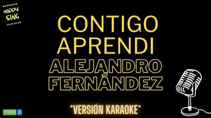 Alejandro Fernández Contigo Aprendí Lyrics English Translation