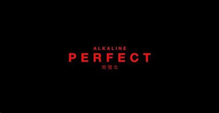 Alkaline perfect lyrics