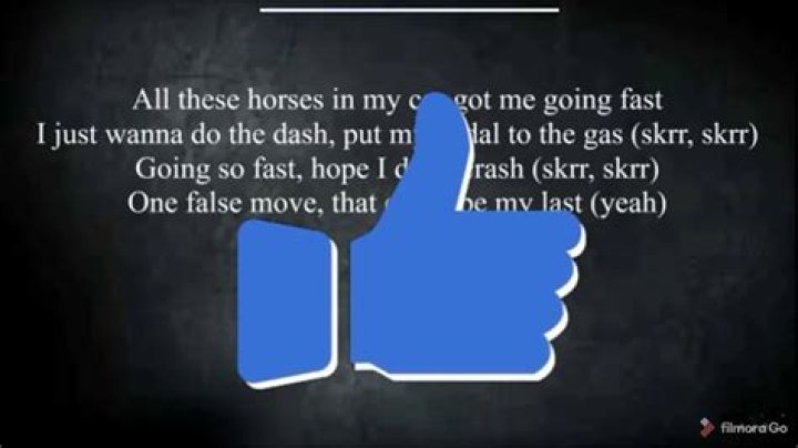 All theses horses in my car got me going fast lyrics
