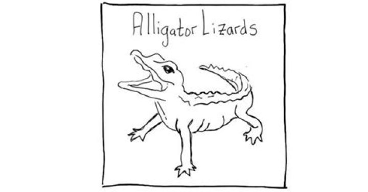 Alligators lizards in the air lyrics
