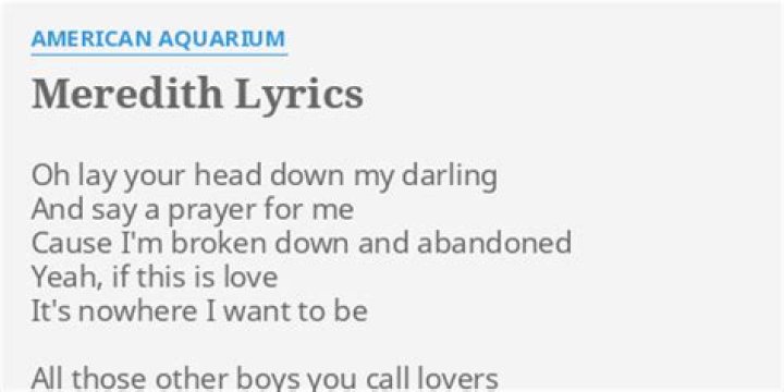 American aquarium lyrics