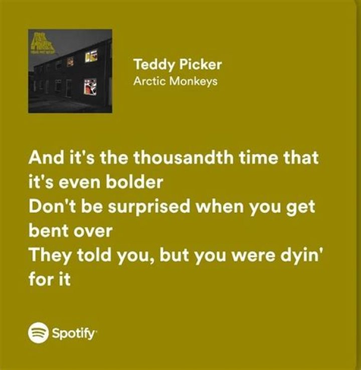 Arctic Monkeys Teddy Picker Lyrics Spanish Translation