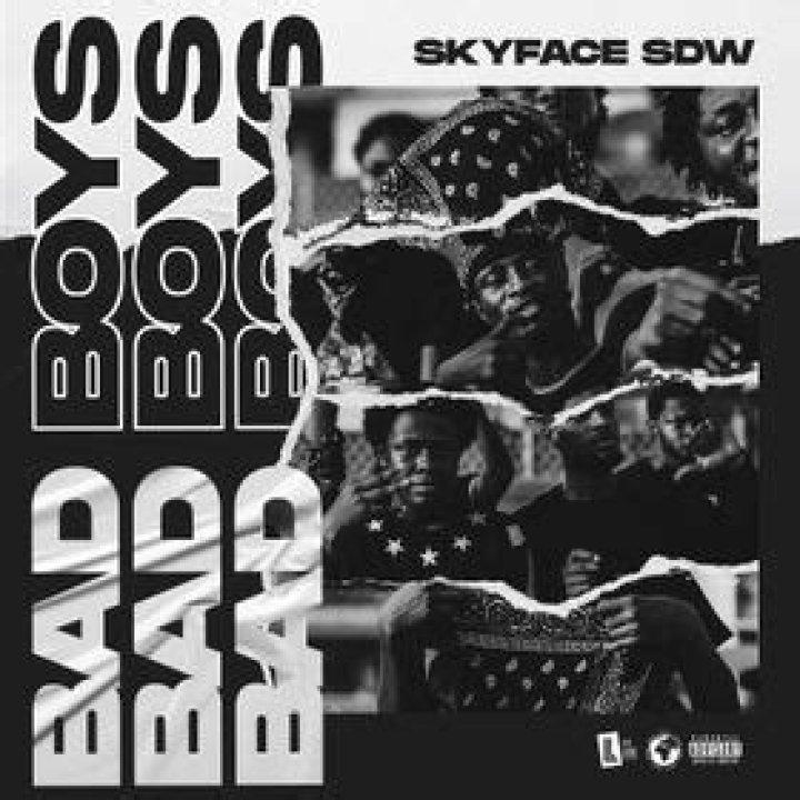 Bad boys skyface lyrics