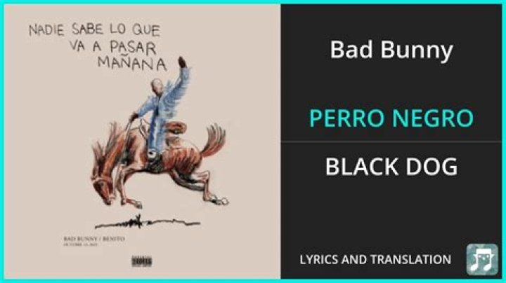 Bad Bunny PERRO NEGRO Lyrics English Translation