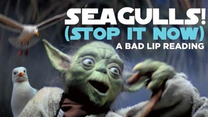 Bad Lip Reading – SEAGULLS! (Stop It Now) Lyrics