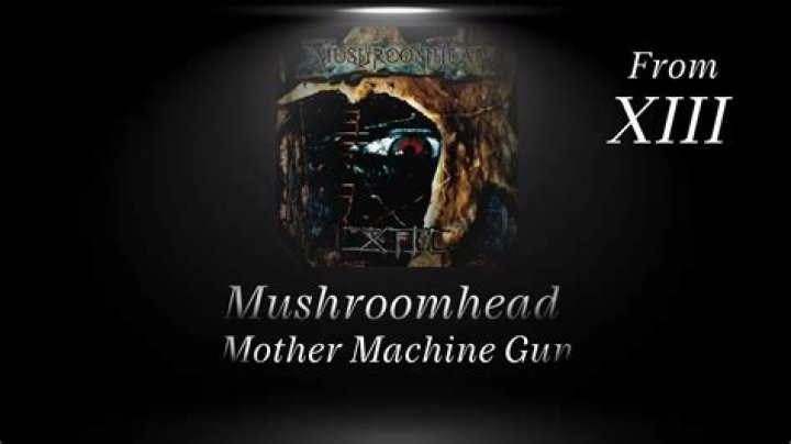 Bedeutung von Mother Machine Gun von Mushroomhead