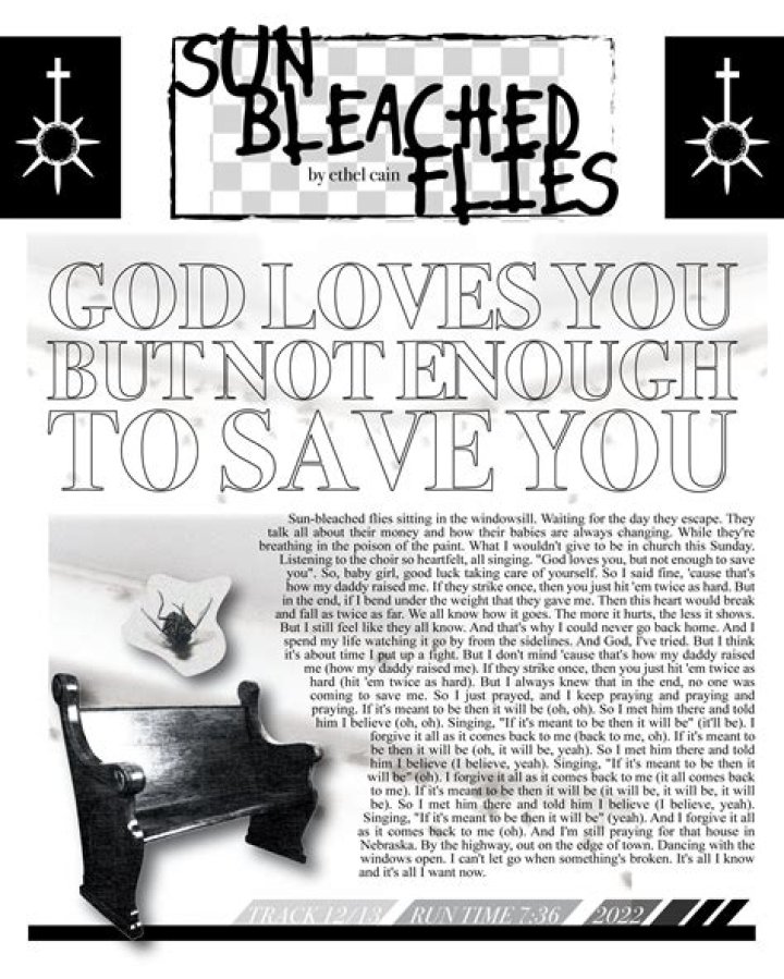 Bedeutung von Sun Bleached Flies von Ethel Cain