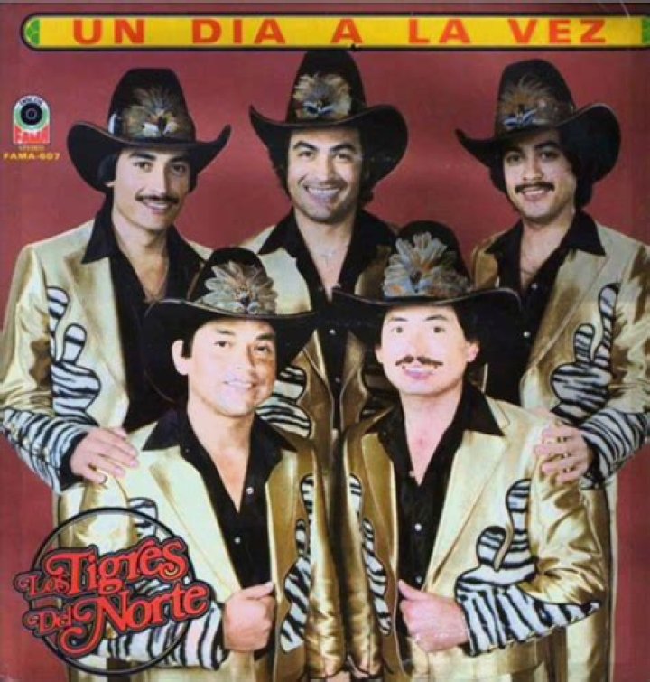 Bedeutung von Un día a la vez von Los Tigres Del Norte