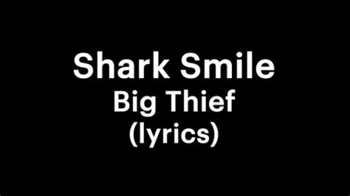 Big thief shark smile lyrics