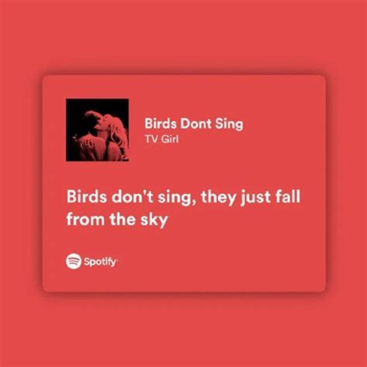Birds dont sing lyrics