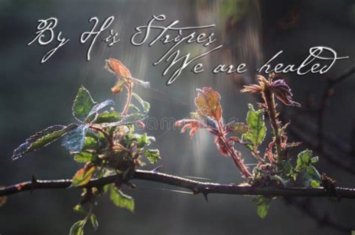 By his stripes i am healed let the weak say i am strong let the poor say i am rich glory to god in the highest lyrics