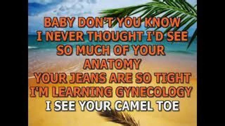 Camel toe lyrics