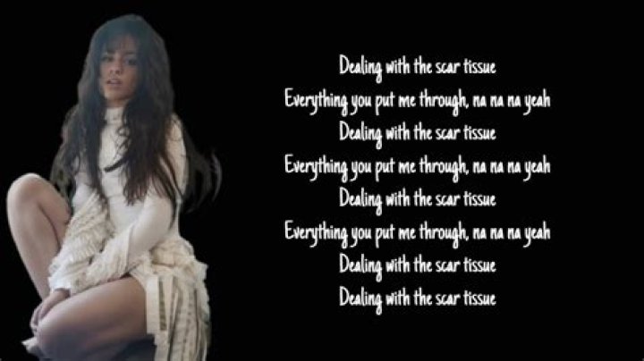Camila Cabello Scar Tissue Lyrics Spanish Translation