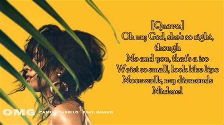 Camila ft quavo omg lyrics