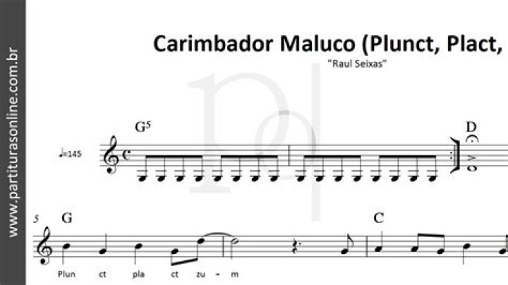 CARIMBADOR MALUCO PLUNCT PLACT ZUM CHORDS by Raul Seixas