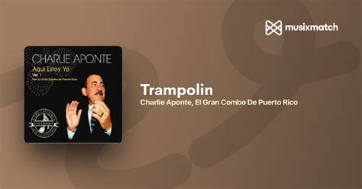Charlie aponte trampolin lyrics