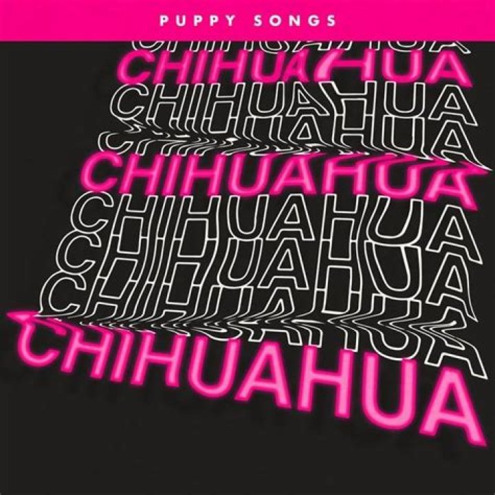 Chihuahua lyrics