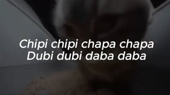 Chipi chipi dubi dubi lyrics