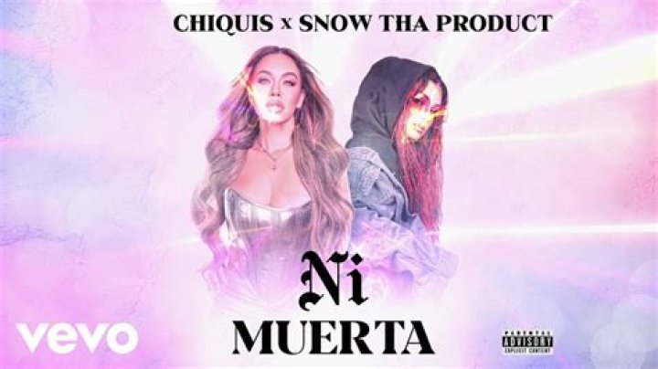 Chiquis Ni Muerta Lyrics English Translation