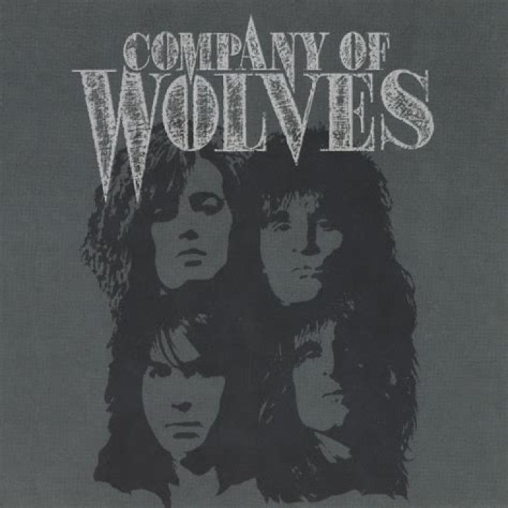 Company of wolves my ship lyrics