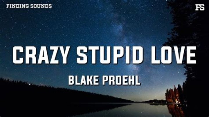 Crazy stupid love lyrics