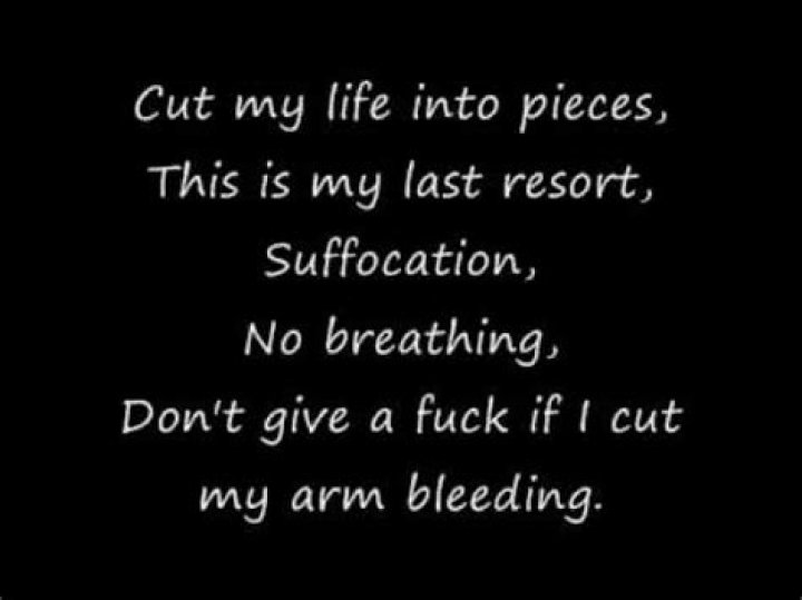 Cut my life to pieces this is my last lyrics