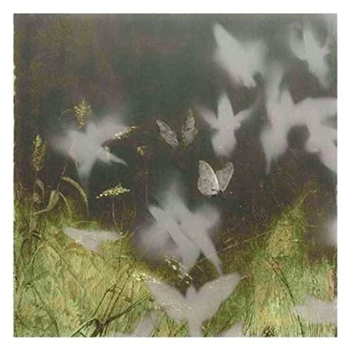 Dariell cano distantes lyrics