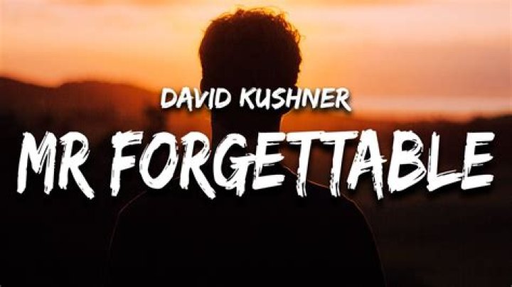 David Kushner – Mr. Forgettable Lyrics