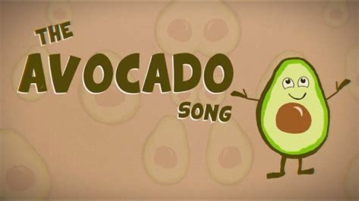Dr jean the avocado song lyrics