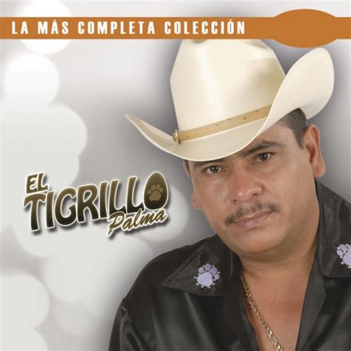 El Tigrillo Palma El Pajarraco Lyrics