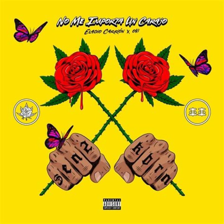 Eladio Carrion No Me Importa Un Carajo Lyrics English Translation