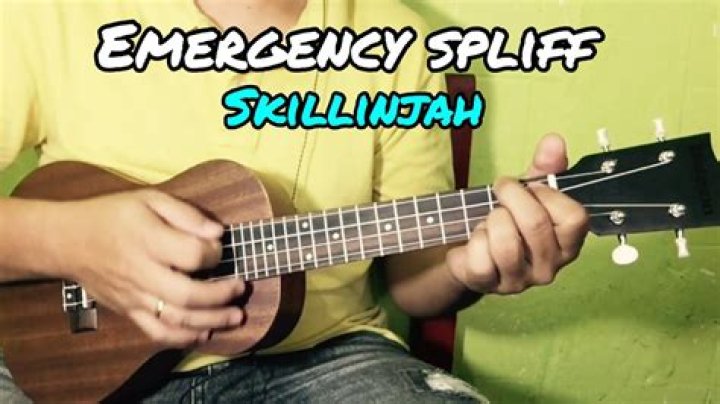 EMERGENCY SPLIFF CHORDS by SkillinJah