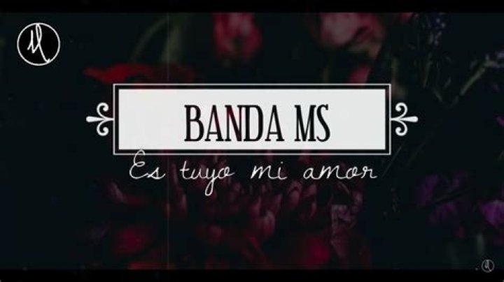 Es tuyo mi amor (english) lyrics