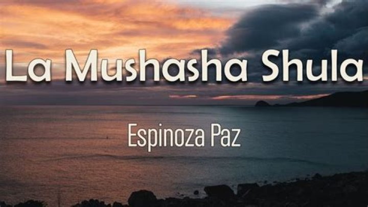 Espinoza Paz La Mushasha Shula Lyrics English Translation