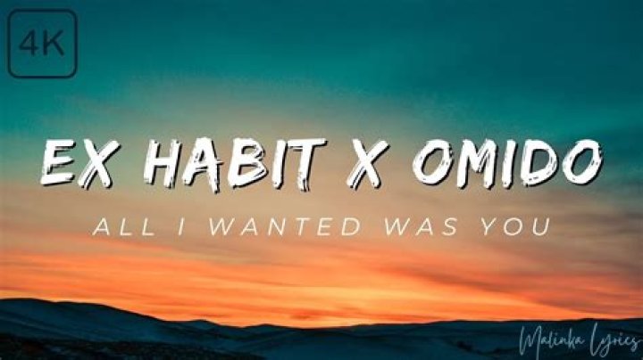 Ex habit, all i wanted was you lyrics