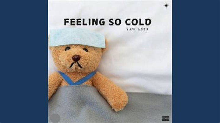 Feeling so cold lyrics