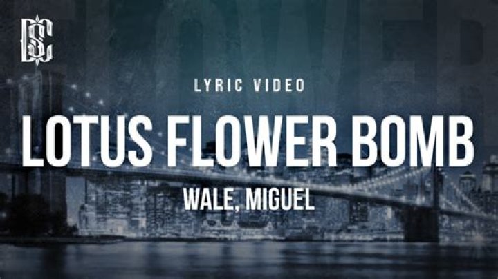 Figurative language in lotus flower bomb wale(ft, miguel) lyrics