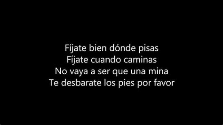 Fijate bien lyrics