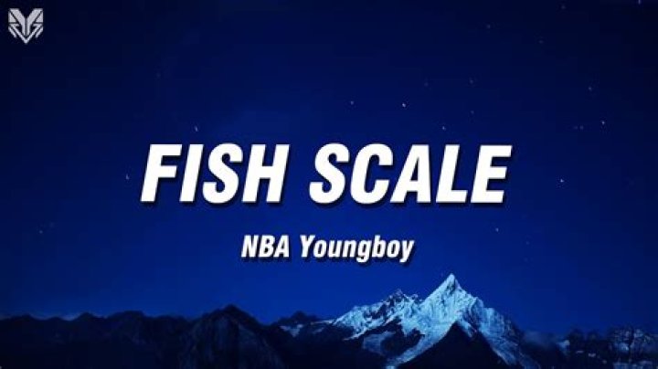 Fish scale youngboy lyrics