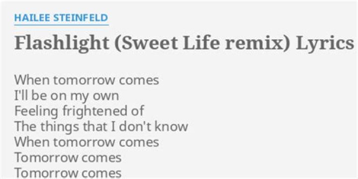 Flashlight (sweet life remix) lyrics