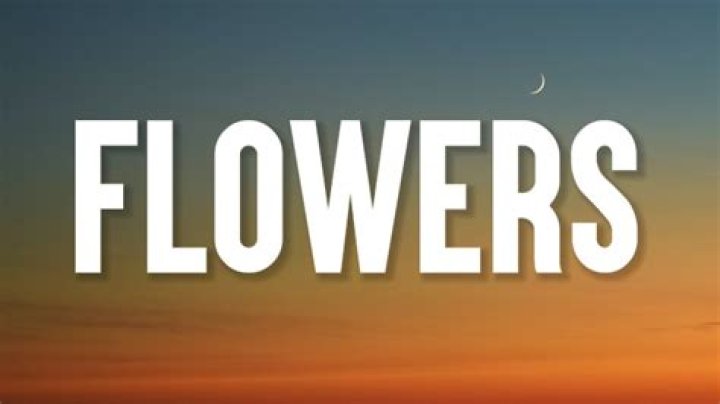 Flowers taylor swift lyrics
