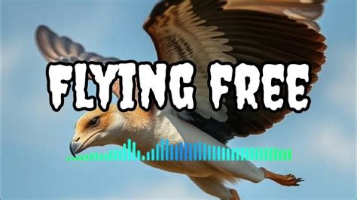 Flying free lyrics