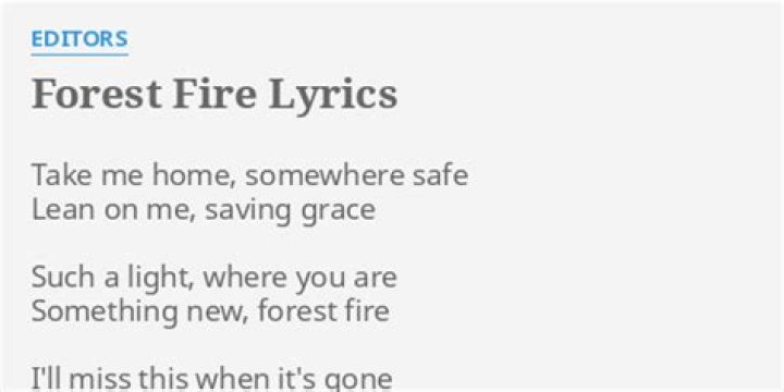 Forest fire lyrics
