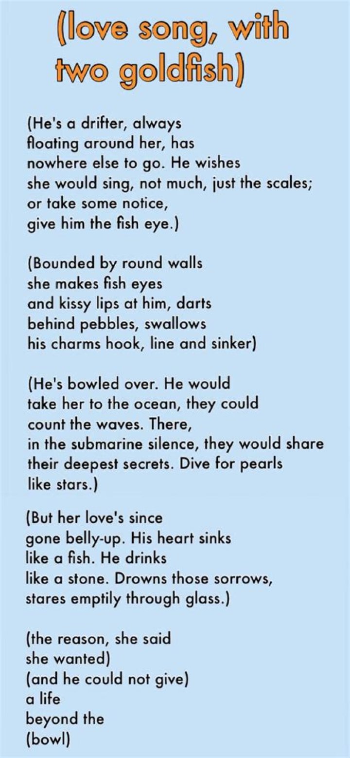 Free the goldfish lyrics