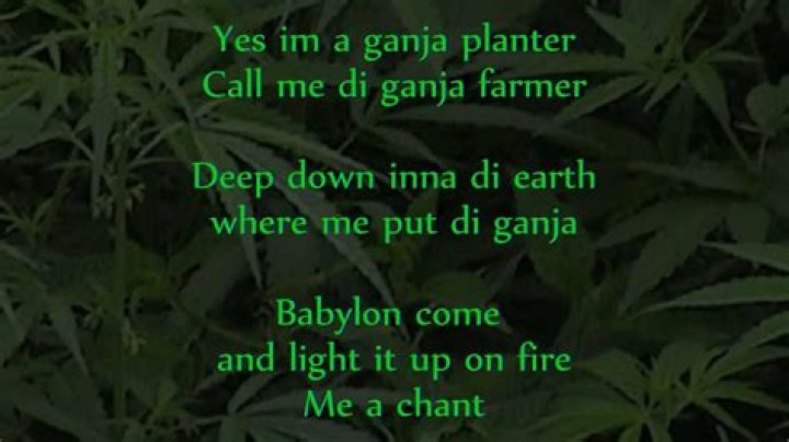 Ganja farmer song lyrics