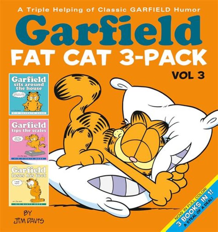 Garfield fat cat lyrics