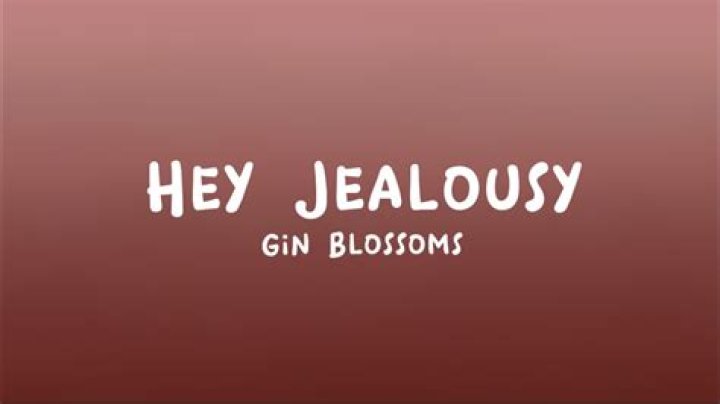 Gin blossom lyrics
